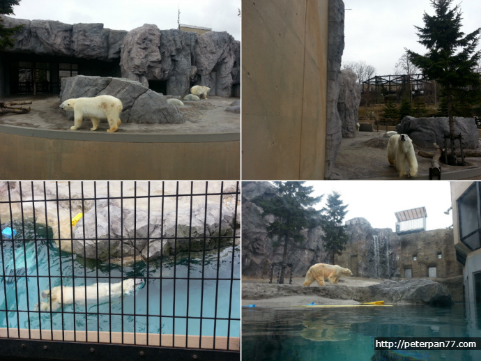 2013.05.02.THU 홋카이도 소우야미사키,아사히야마동물원 // 北海道 宗谷岬、旭山動物園