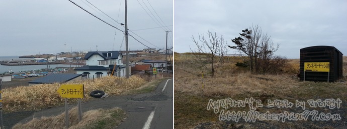 네무로반도 챠시아토군／根室半島チャシ跡群 image