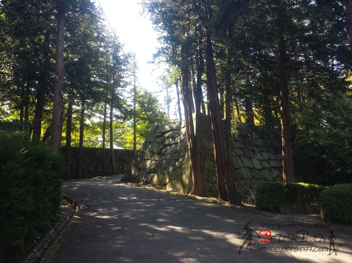 모리오카성 유적공원 盛岡城跡公園　岩手公園