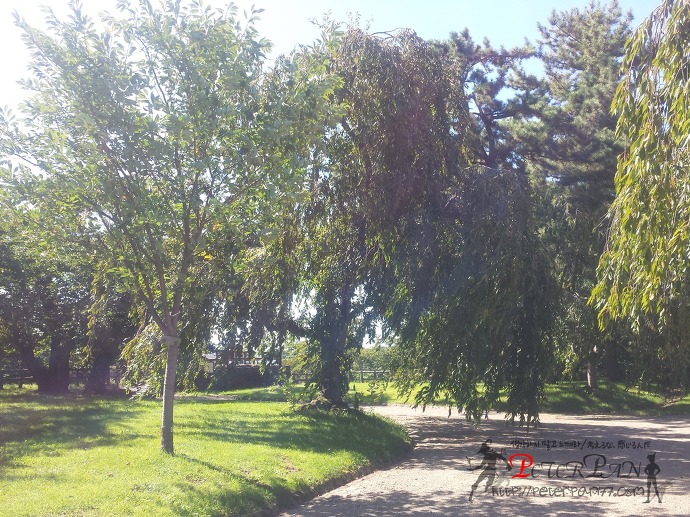 히로사키공원 히로사키성 혼마루 弘前公園 弘前城 本丸